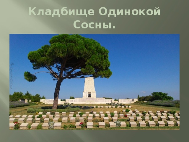 Кладбище Одинокой Сосны. 