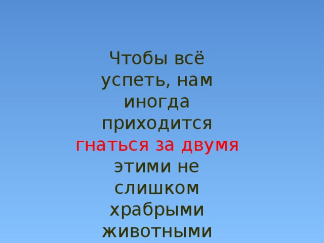 Чтобы всё успеть, нам иногда приходится гнаться  за двумя этими не слишком храбрыми животными 