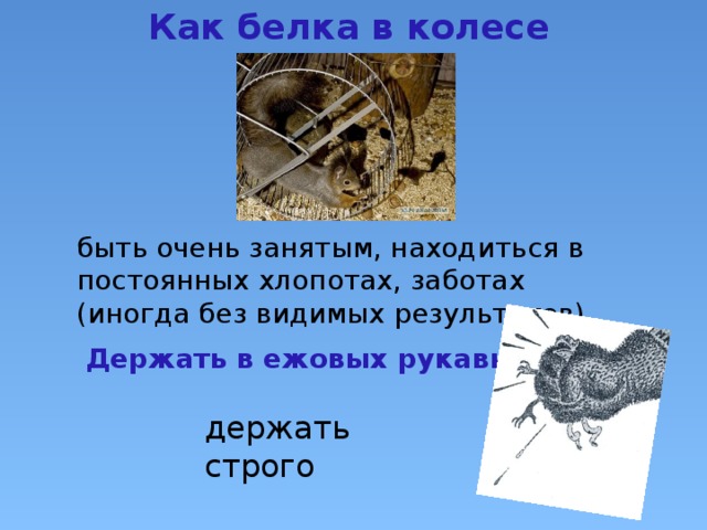 Как белка в колесе быть очень занятым, находиться в постоянных хлопотах, заботах (иногда без видимых результатов)  Держать в ежовых рукавицах держать строго 