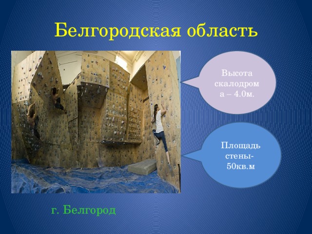 Белгородская область Высота скалодрома – 4.0м. Площадь стены- 50кв.м г. Белгород 