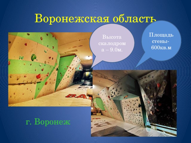 Воронежская область Площадь стены- 600кв.м Высота скалодрома – 9.0м.  г. Воронеж 