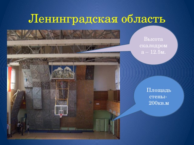 Ленинградская область Высота скалодрома – 12.5м. Площадь стены- 200кв.м 