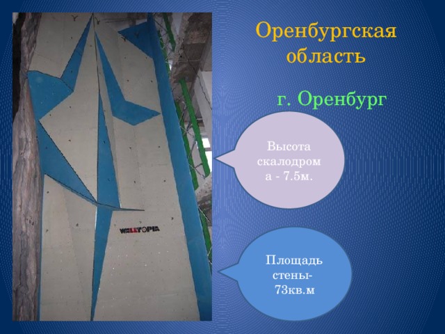 Оренбургская область  г. Оренбург Высота скалодрома - 7.5м. Площадь стены- 73кв.м 