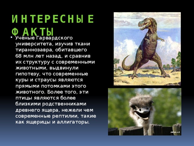 Интересные факты Учёные Гарвардского университета, изучив ткани тираннозавра, обитавшего  68 млн лет назад, и сравнив их структуру с современными животными, выдвинули гипотезу, что современные куры и страусы являются прямыми потомками этого животного. Более того, эти птицы являются более близкими родственниками древнего ящера, нежели чем современные рептилии, такие как ящерицы и аллигаторы. 