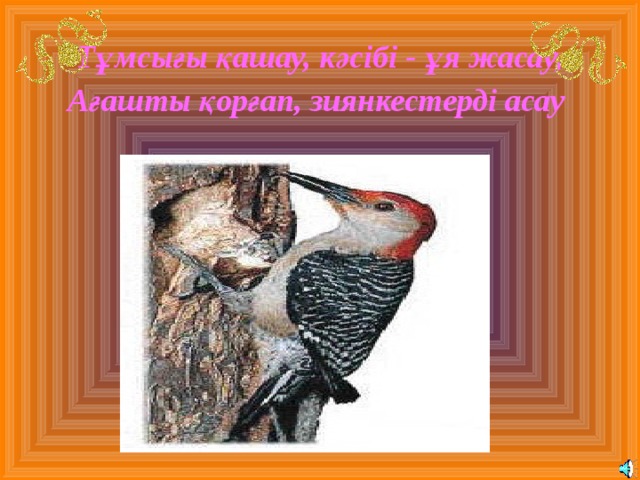 Тұмсығы қашау, кәсібі - ұя жасау, Ағашты қорғап, зиянкестерді асау  