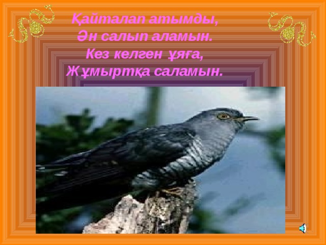    Қайталап атымды, Ән салып аламын. Кез келген ұяға, Жұмыртқа саламын. 