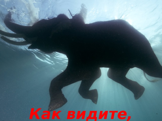 Как видите, могут!!! 