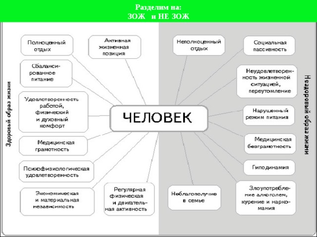 Разделим на: ЗОЖ и НЕ ЗОЖ 