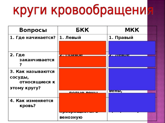 Вопросы БКК 1. Где начинается? 2. Где заканчивается? МКК 1. Левый желудочек 2. Правое предсердие  1. Правый желудочек 3. Как называются сосуды, относящиеся к этому кругу? 2. Левое предсердие  3. Аорта, артерии, капилляры, нижняя и верхняя полые вены 4. Как изменяется кровь?  4. Из артериальной превращается в венозную 3. Лёгочная артерия, капилляры в лёгких, лёгочные вены, 4. Из венозной превращается в артериальную 