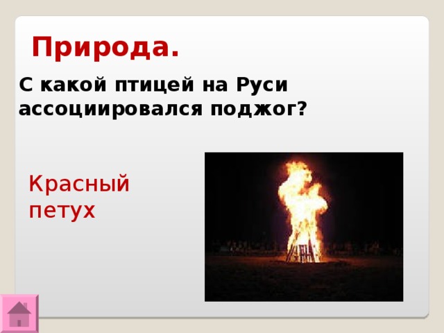 Природа. С какой птицей на Руси ассоциировался поджог? Красный петух 