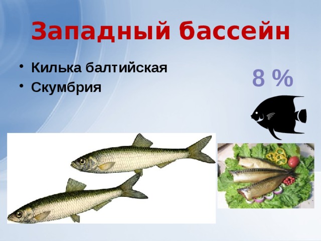 Западный бассейн Килька балтийская Скумбрия 8 % 