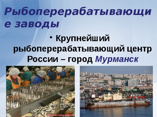 Рыбоперерабатывающие заводы Крупнейший рыбоперерабатывающий центр России – город Мурманск 