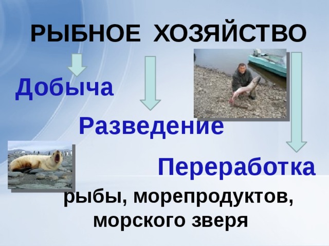 хозяйство Рыбное  рыбы, морепродуктов, морского зверя Добыча Разведение Переработка 