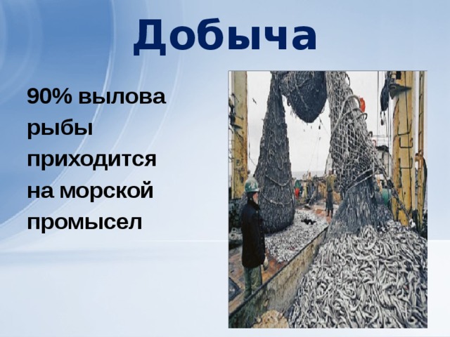 Добыча 90% вылова рыбы приходится на морской промысел 