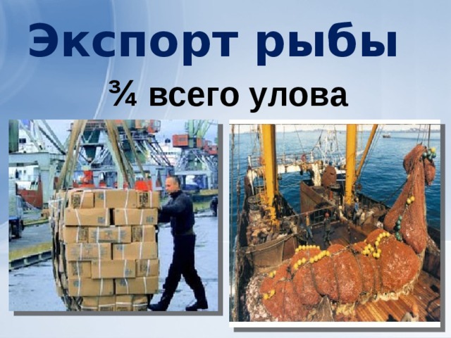 Экспорт рыбы ¾ всего улова 