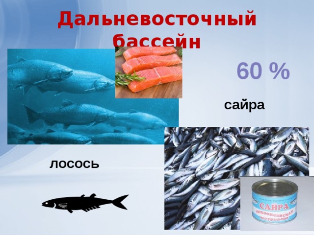 Дальневосточный бассейн 60 %  сайра    лосось 