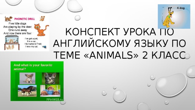 Конспект урока по английскому языку по теме «Animals» 2 класс 