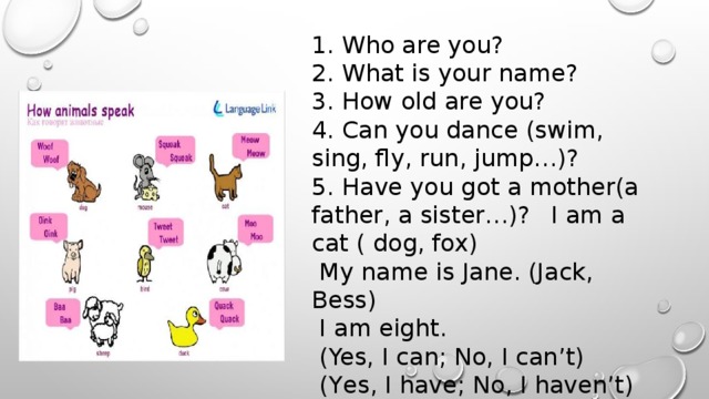 1. Who are you? 2. What is your name? 3. How old are you? 4. Can you dance (swim, sing, fly, run, jump…)? 5. Have you got a mother(a father, a sister…)?  I am a cat ( dog, fox)  My name is Jane. (Jack, Bess)  I am eight.  (Yes, I can; No, I can’t)  (Yes, I have; No, I haven’t) и т.д. 