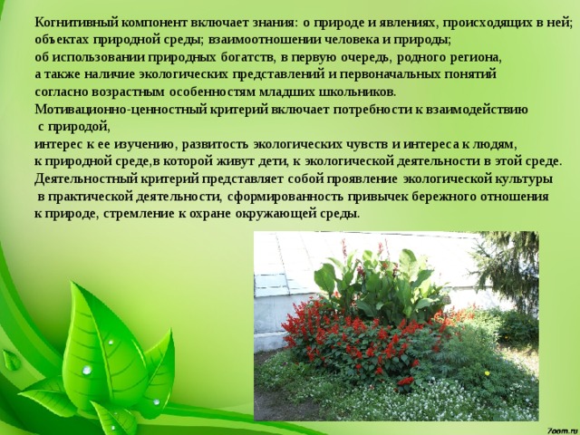 Когнитивный компонент включает знания:  о природе и явлениях, происходящих в ней; объектах природной среды; взаимоотношении человека и природы;  об использовании природных богатств, в первую очередь,  родного региона, а также наличие экологических представлений  и первоначальных понятий согласно возрастным  особенностям младших школьников. Мотивационно-ценностный критерий включает  потребности к взаимодействию  с природой, интерес к ее изучению, развитость экологических чувств  и интереса к людям, к природной среде,в которой  живут дети, к экологической деятельности в этой среде. Деятельностный критерий представляет собой проявление  экологической культуры  в практической деятельности,  сформированность привычек бережного отношения к природе,  стремление к охране окружающей среды. 