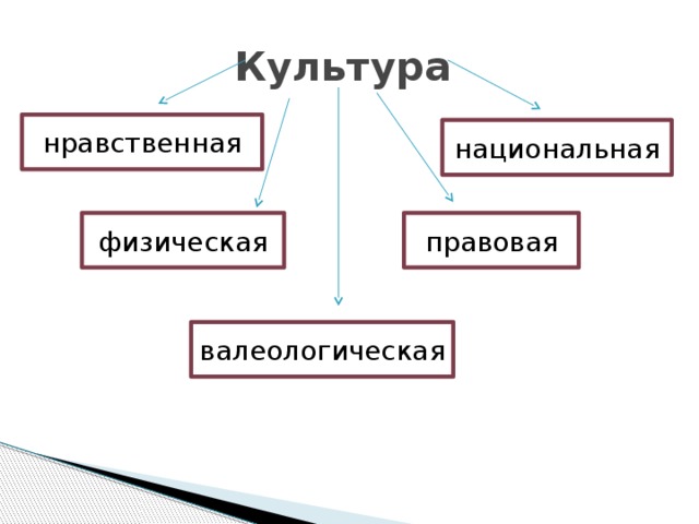 Культура нравственная национальная физическая правовая валеологическая 