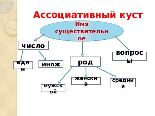 Ассоциативный куст Имя существительное число вопросы род множ един женский средний мужской 