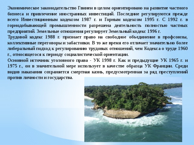 Экономическое законодательство Гвинеи в целом ориентировано на развитие частного бизнеса и привлечение иностранных инвестиций. Последние регулируются прежде всего Инвестиционным кодексом 1987 г. и Горным кодексом 1995 г. С 1992 г. в горнодобывающей промышленности разрешена деятельность полностью частных предприятий. Земельные отношения регулирует Земельный кодекс 1996 г. Трудовой кодекс 1988 г. признает право на свободное объединение в профсоюзы, коллективные переговоры и забастовки. В то же время его отличает значительно более либеральный подход к регулированию трудовых отношений, чем Кодекса о труде 1960 г., относящегося к периоду социалистической ориентации. Основной источник уголовного права - УК 1998 г. Как и предыдущие УК 1965 г. и 1975 г., он в значительной мере использует в качестве образца УК Франции. Среди видов наказания сохраняется смертная казнь, предусмотренная за ряд преступлений против личности и государства.  