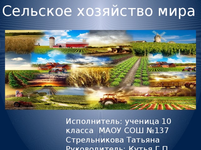 Сельское хозяйство мира Исполнитель: ученица 10 класса МАОУ СОШ №137 Стрельникова Татьяна Руководитель: Кутья Г.П. 