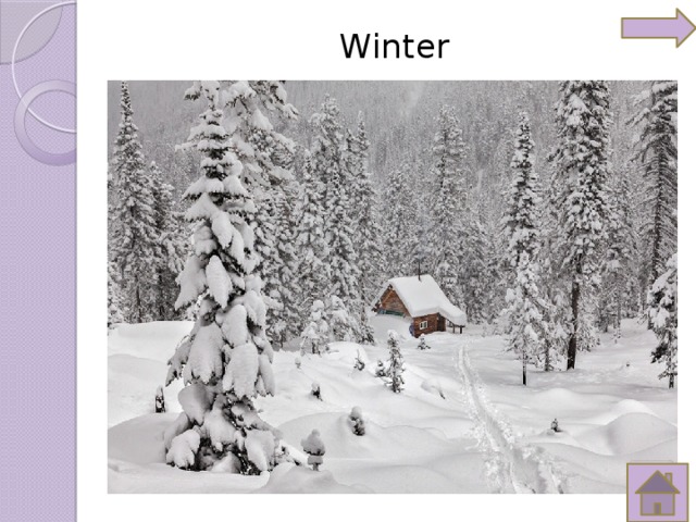Winter   