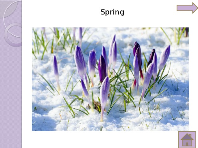 Spring   