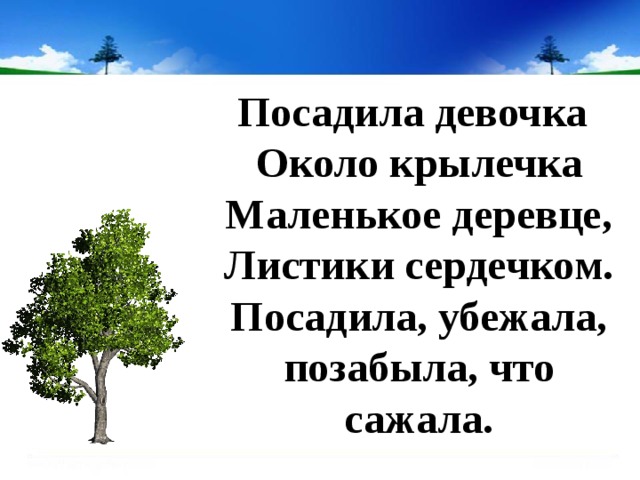  Посадила девочка  Около крылечка  Маленькое деревце,  Листики сердечком.  Посадила, убежала,  позабыла, что сажала. 