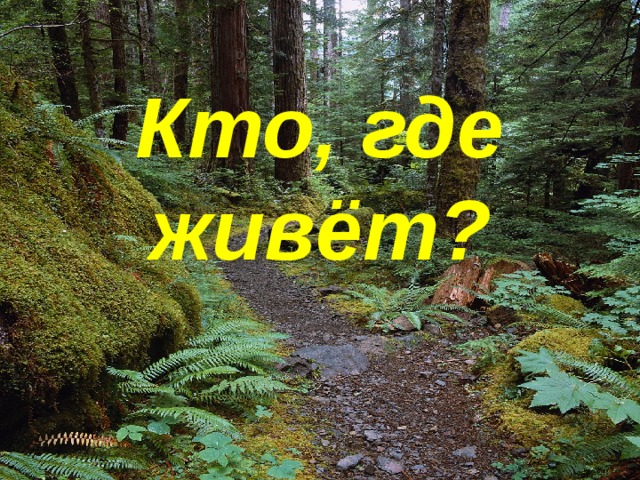 Кто, где живёт? 