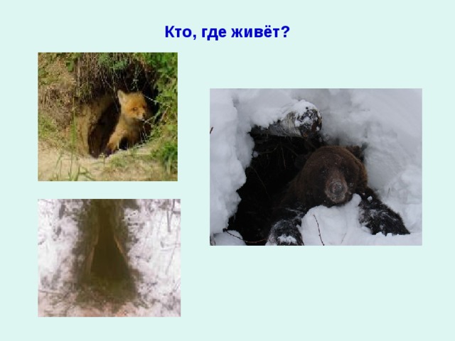 Кто, где живёт? 