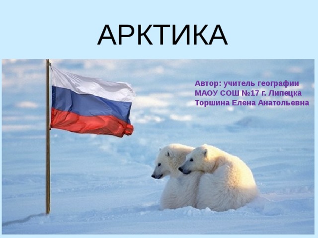 АРКТИКА Автор: учитель географии МАОУ СОШ №17 г. Липецка  Торшина Елена Анатольевна 
