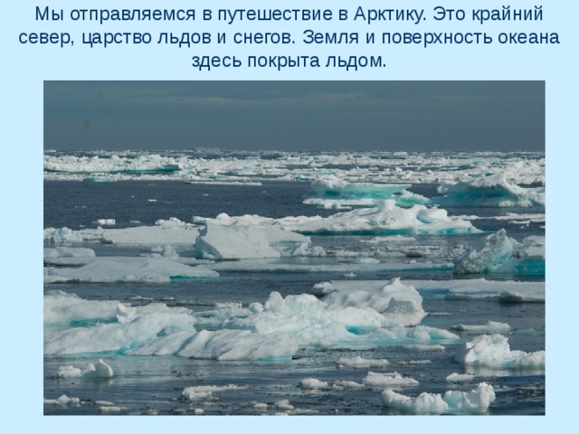 Мы отправляемся в путешествие в Арктику. Это крайний север, царство льдов и снегов. Земля и поверхность океана здесь покрыта льдом. 