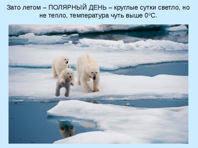 Зато летом – ПОЛЯРНЫЙ ДЕНЬ – круглые сутки светло, но не тепло, температура чуть выше 0 0 С. 