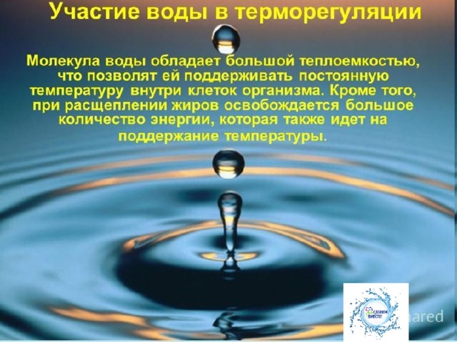 http://images.myshared.ru/28/1305574/slide_14.jpg