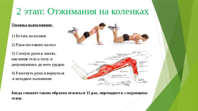 2 этап: Отжимания на коленках Техника выполнения:   1) Встать на колени 2) Руки поставить на пол 3) Согнуть руки в локтях,  наклонив тело к полу и  дотронувшись до него грудью 4) Разогнуть руки и вернуться  в исходное положение.   Когда сможете таким образом отжаться 15 раз, переходите к следующему этапу. 