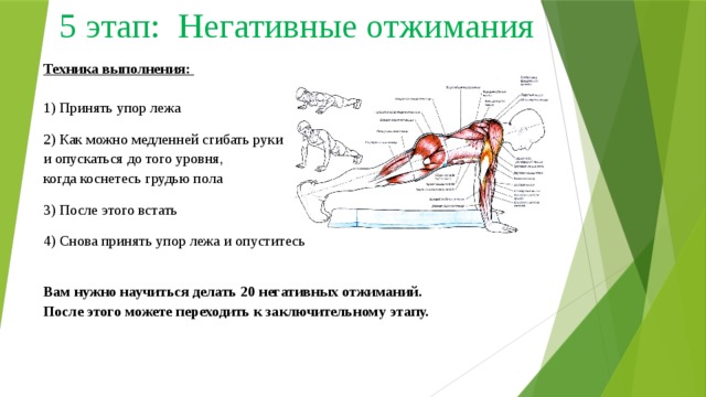 5 этап: Негативные отжимания Техника выполнения:   1) Принять упор лежа 2) Как можно медленней сгибать руки  и опускаться до того уровня,  когда коснетесь грудью пола 3) После этого встать 4) Снова принять упор лежа и опуститесь  Вам нужно научиться делать 20 негативных отжиманий.  После этого можете переходить к заключительному этапу.  