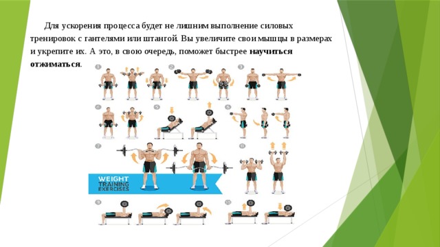 Для ускорения процесса будет не лишним выполнение силовых тренировок с гантелями или штангой. Вы увеличите свои мышцы в размерах и укрепите их. А это, в свою очередь, поможет быстрее научиться отжиматься . 
