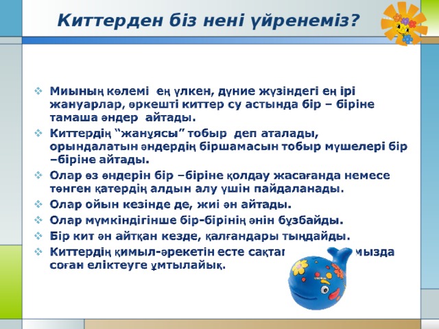 Киттерден біз нені үйренеміз? 