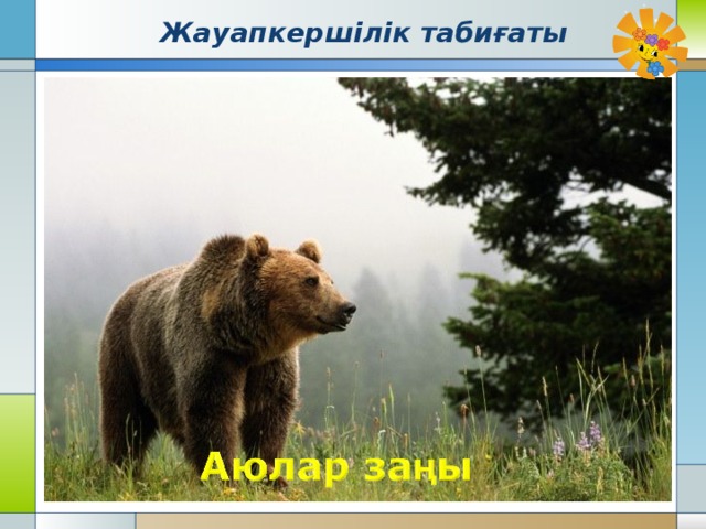 Жауапкер шілік табиғаты 