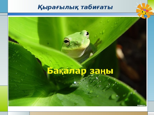   Қырағылық табиғаты 