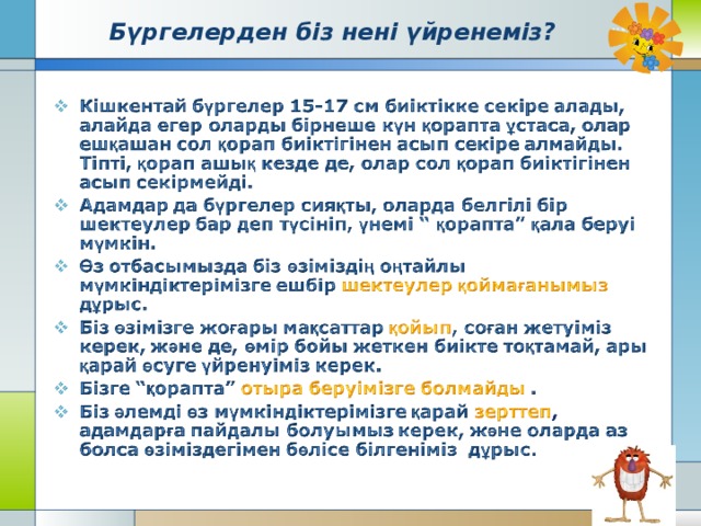 Бүргелерден біз нені үйренеміз? 