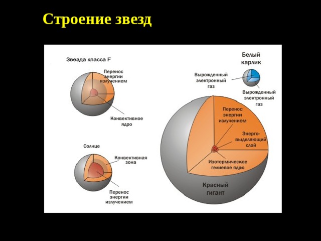 Строение звезд 