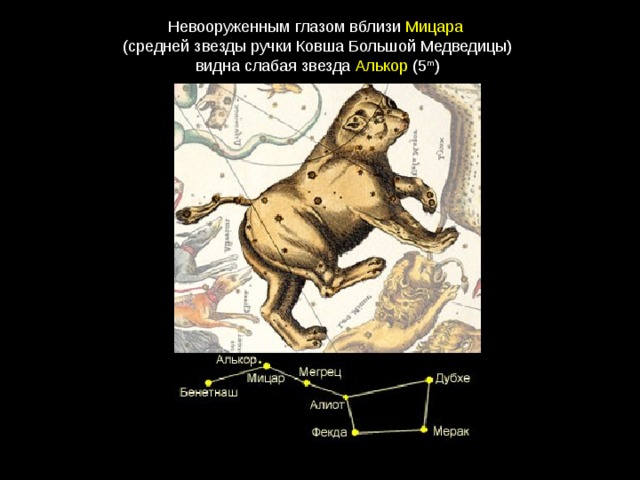 Невооруженным глазом вблизи  Мицара   (средней звезды ручки Ковша Большой Медведицы) видна слабая звезда  Алькор  (5 m ) 