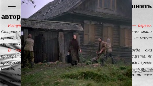 — Какие символы помогают понять авторский замысел? Распутин использует один из традиционных символов жизни — дерево . Старая лиственница — «царский листвень» — является символом мощи природы. Ни огонь, ни топор, ни современное орудие — бензопила — не могут справиться с ним. В повести много традиционных символов. Однако иногда они приобретают новое звучание. Образ весны знаменует не начало расцвета, не пробуждение («опять запылала по земле и деревьям зелень, пролились первые дожди, прилетели стрижи и ласточки»), а последнюю вспышку жизни, конец «нескончаемого ряда дней Матёры — ведь совсем скоро Ангара по воле строителей электростанции затопит землю водой. 