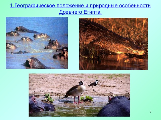 1.Географическое положение и природные особенности Древнего Египта.     