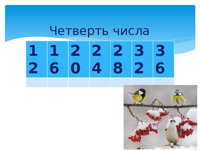 Четверть числа 12 16 20 24 28 32 36 
