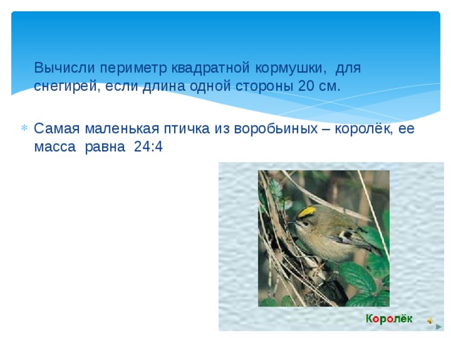 Вычисли периметр квадратной кормушки, для снегирей, если длина одной стороны 20 см. Самая маленькая птичка из воробьиных – королёк, ее масса равна 24:4 