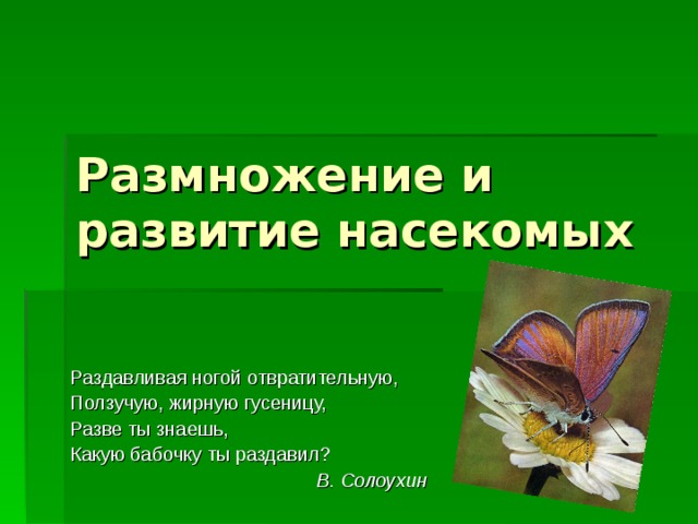 Размножение и развитие насекомых Раздавливая ногой отвратительную, Ползучую, жирную гусеницу, Разве ты знаешь, Какую бабочку ты раздавил?  В. Солоухин 